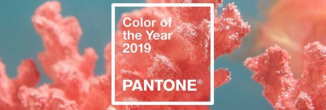 màu sắc của năm 2019